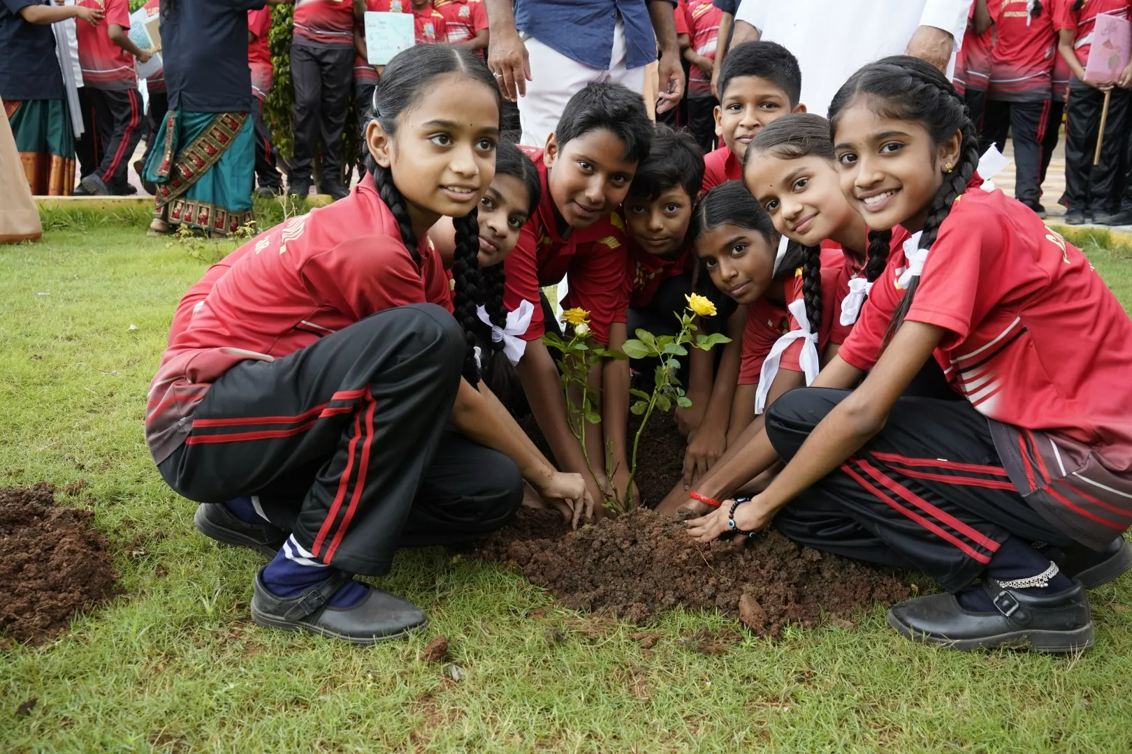 HARITHA HARAM-14 (Large)
