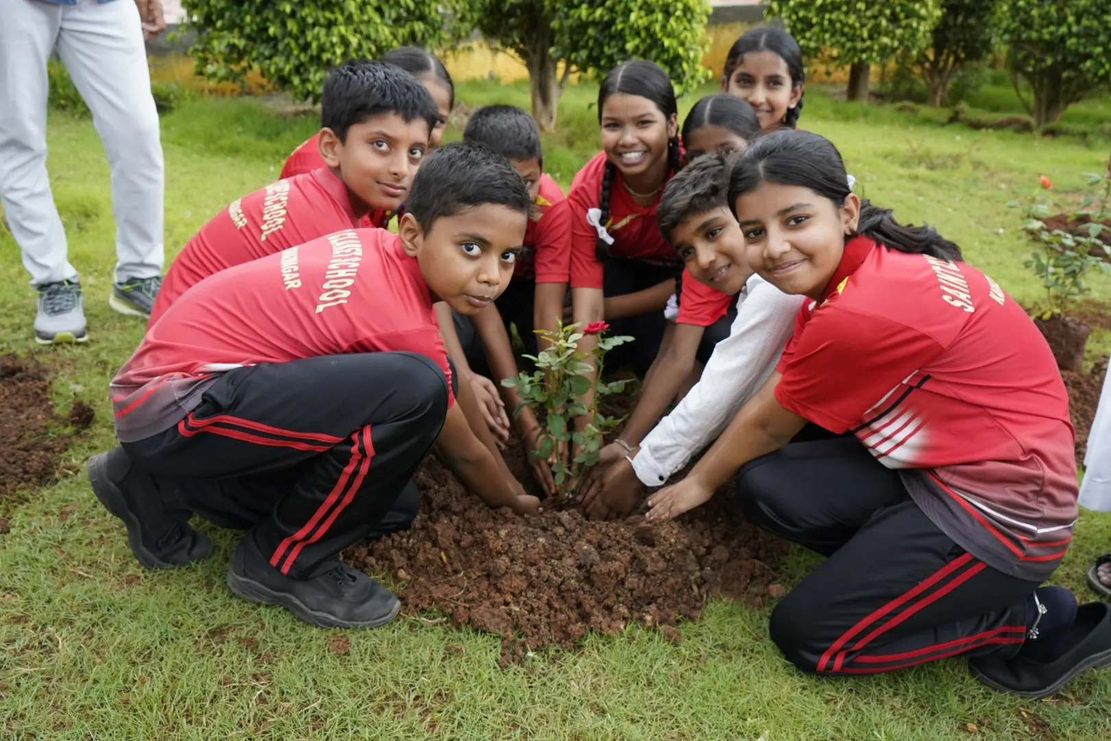 HARITHA HARAM-15 (Large)