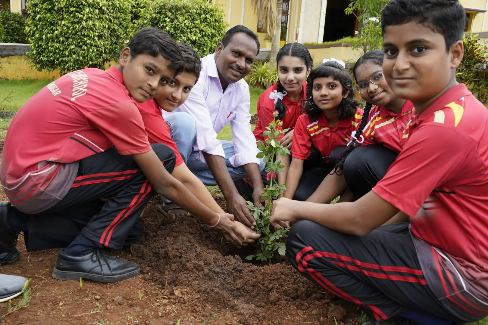 HARITHA HARAM-16 (Large)