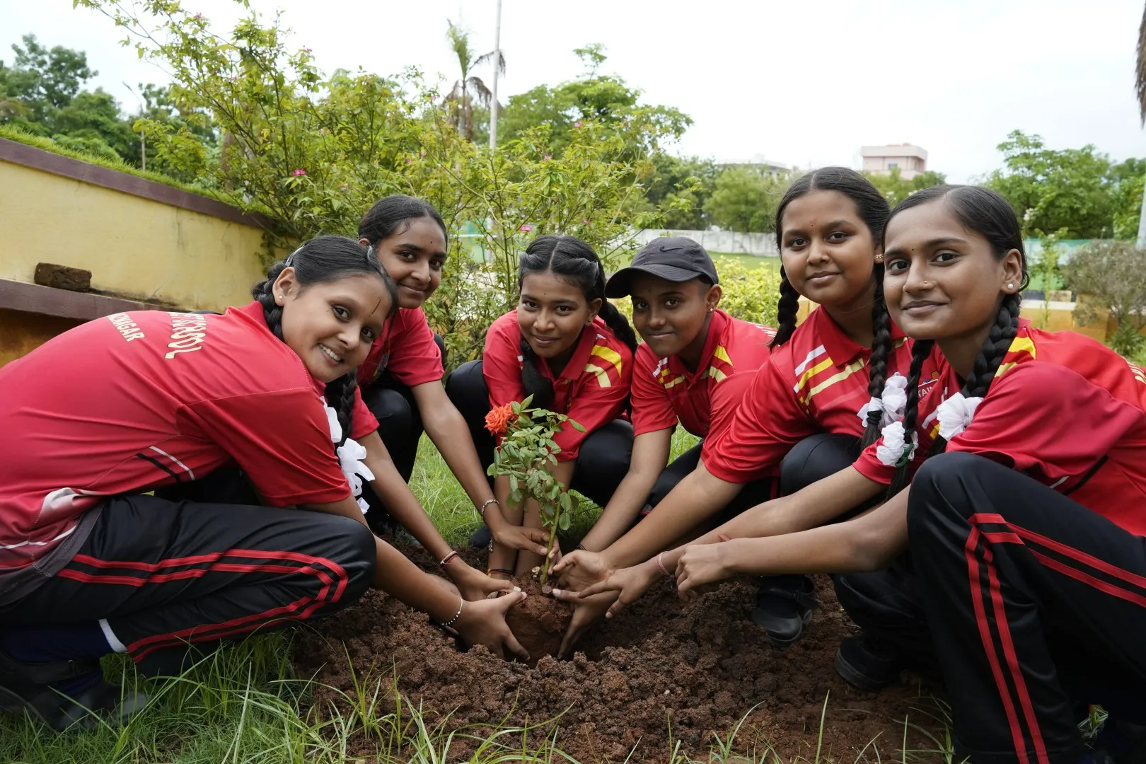 HARITHA HARAM-17 (Large)